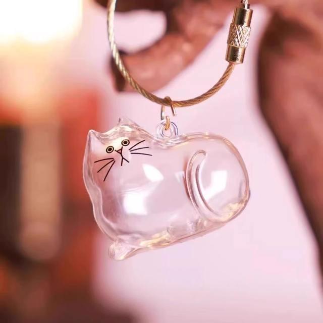 

Cat Fur Memorial Keychain, Portable Keepsake Pendant for Pet Hair with Rainbow Bridge Memorial Gift for Cat Lovers Home Display