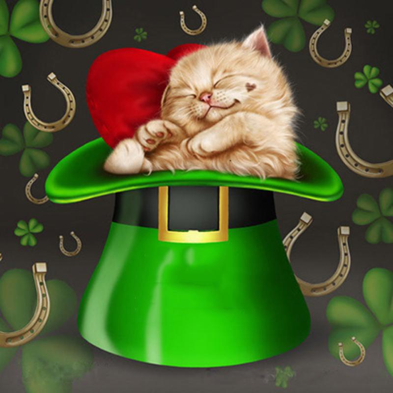 

5D DIY Алмазная картина Кошка Наборы для вышивки крестом Алмазная вышивка Животное Рукоделие Мозаика Полный квадрат Декор для дома Full Round 30x30CM