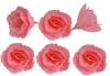 Rosa Wafer Commestibile Per Torta Cinese Piccola Rosa 6 Pezzi