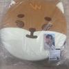 DAY6 Cushion (with Warming Function)