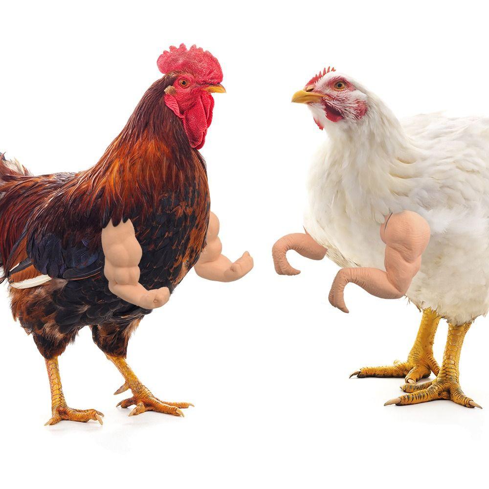 Funny Fighting Chicken Arms Toys Giant Arm Hulk Arms Wearing Muscle Arm Novelty Artificial Chicken Forelimb Pet Theme Party