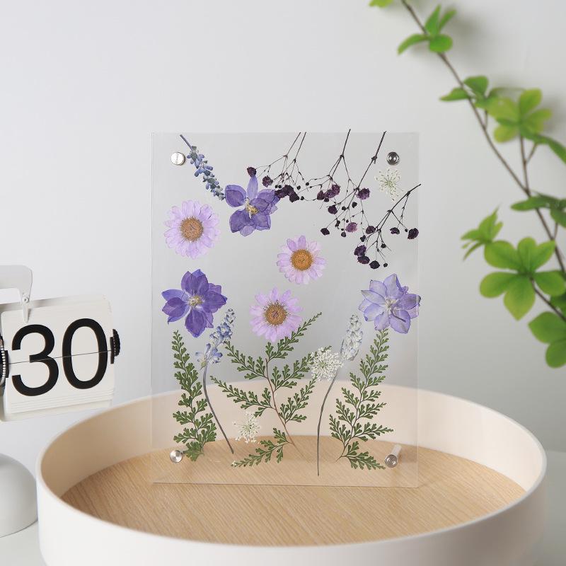 Nordic Simple Acrylic Photo Frame - 6-7 Inch DIY Dried Flower Pressed Specimen