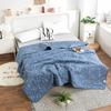 Summer Thin Ultrasonic Aloe Cotton Quilt for Dormitory Students