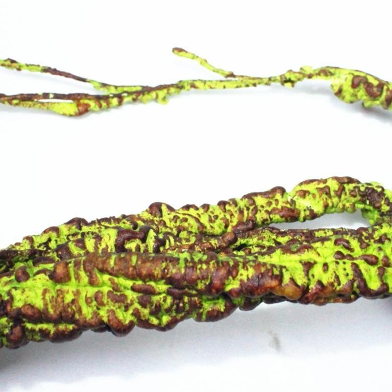 Реалистичная Лиана для Террариумов Ландшафтная Лиана для Декорирования Рептилийных Террариумов China Mainland