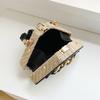 Niche Fashion Chain Straw Bag Portable Messenger Bag