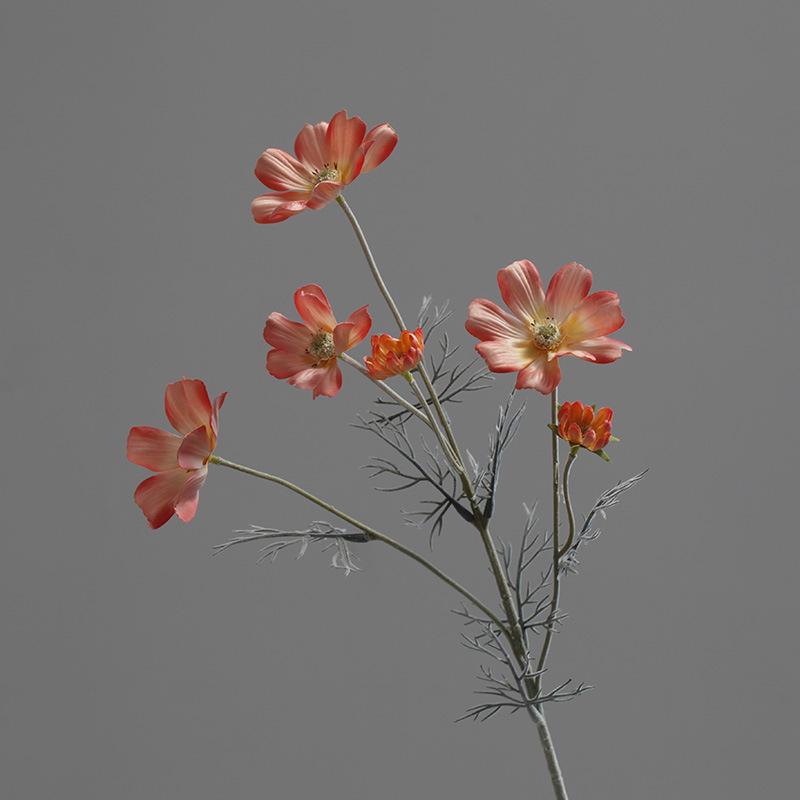 Pastoralne Kwiatowe Jedwabne Kosmosy i Kosmosy Symulowane Kwiaty