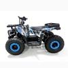 Kids' 36V 800W Electric ATV: All-Terrain Four-Wheeler with Lead-Acid Battery
