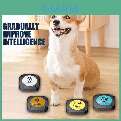Perros – Manuales de entrenamiento y conducta