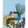 Primera Alpine Berry Watery Cream 1+1 Refill Set Korean Hydration Moisture Cream