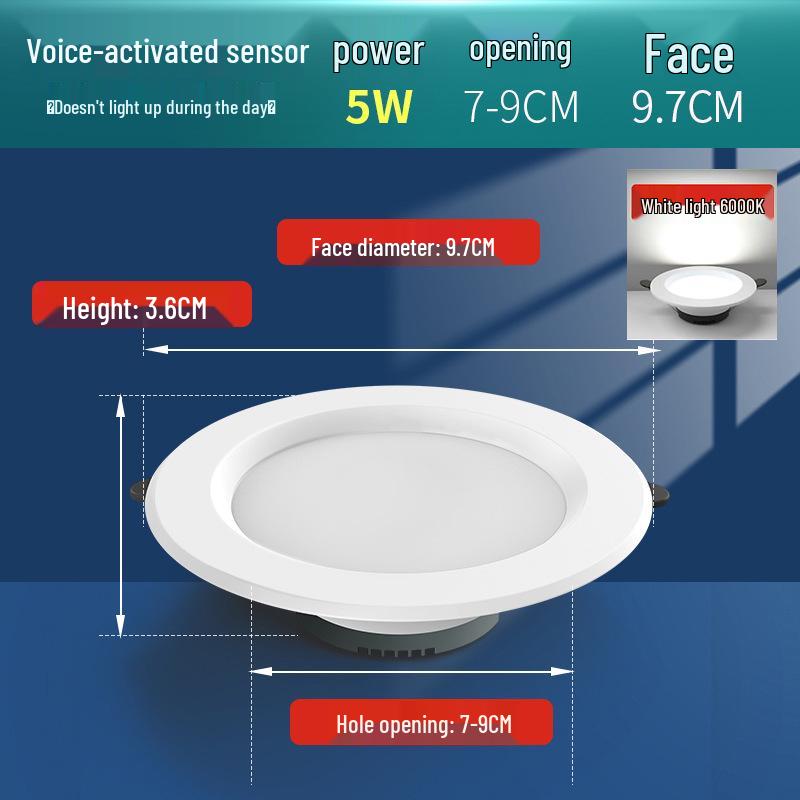 

Motion Sensor LED Downlight for Entrance, Aisle, and Corridor with Sound Control