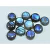 13X13MM Natural Labradorite Blue  Round Cabochon Loose Gemstone 11Pcs Lot C-1029