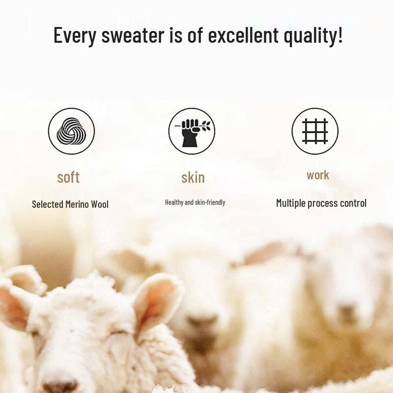 TRIES Men's Wool Blend Round Neck Sweater