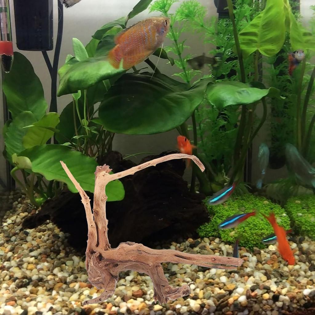 Mipcase 3 Stück Treibholz für Aquarium, Spinnenholz für Aquarium Aquarium Dekorationen Fischbecken Dekorationen Treibholz für Reptilienbecken Dekor