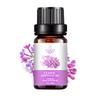 Rose Essential Oil - 10ML Aromatherapy Perfume Oil with 27 Fragrances