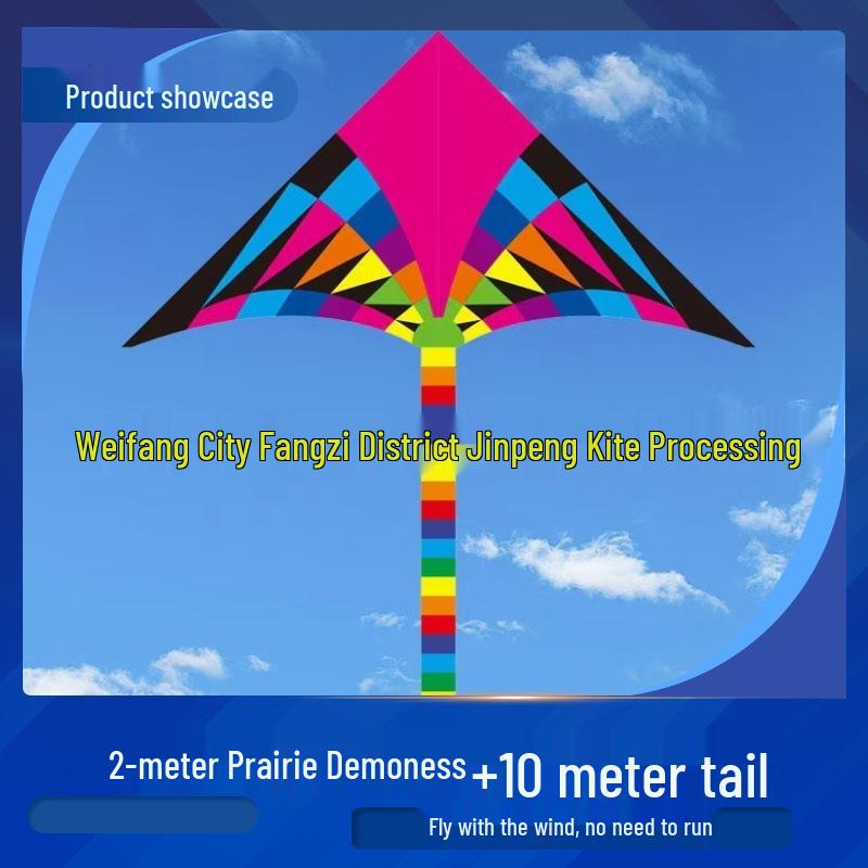 Great Plains Extra Large Rainbow Kite for Kids - Excellent Flying Cartoon Design