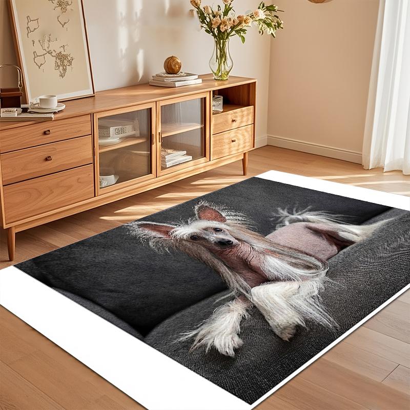 

Chinese Crested Dog Photo Entry Door Mat Non-Slip Washable Mat & Rug Pet-Friendly Home Decor Carpet Soft Rugs for Bedroom Gift 40x60CM