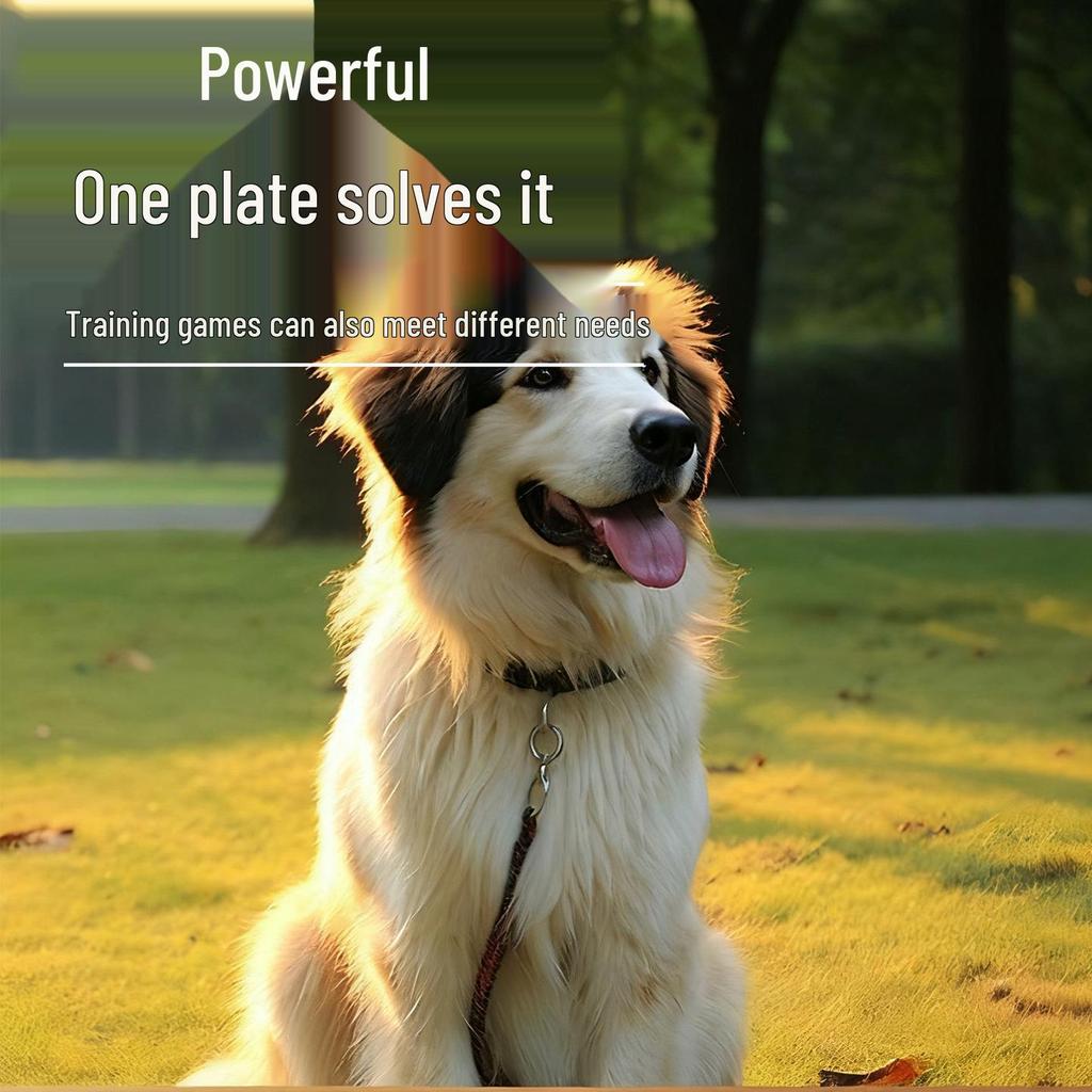 Exklusiv für Neueinsteiger: Beißfestes Hunde-Frisbee-Spielzeug – Schwimmend, interaktiver Apportiertrainer