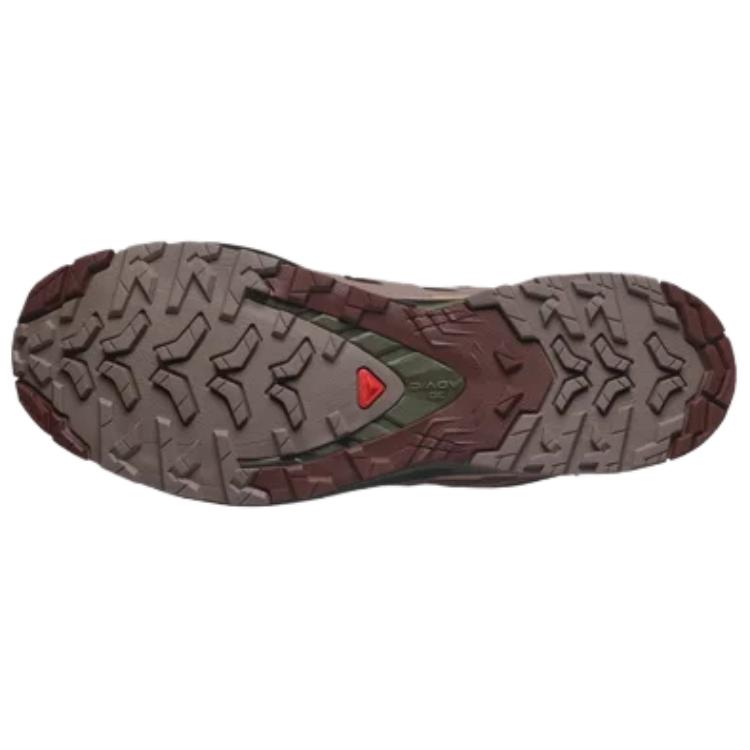 Salomon XA Pro 3D V9 GORE-TEX Rum Raisin Men Sneakers Purple Black-Coffee Olive-Night L47583500