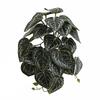 Plant Artificial 3d Printing Ipomoea Batatas Leaf Decor Home Interior Decor