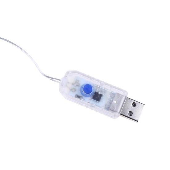 Pleasure Holiday 100LED 3x1Meter Curtain Strings Light USB 8-Mode Fairy Lamp with Remote Control