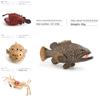 Ocean Creature Pvc Figures With Authentic Appearance For Educational Display And Gifts