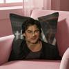 Federa Cuscino Damon Salvatore Copricuscino Multi-Scena per Casa e Auto - Reversibile, Morbida e Resistente per l'Uso Quotidiano