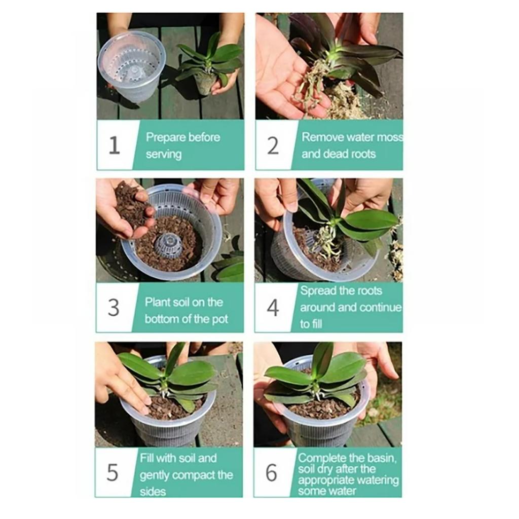 Round Transparent Plastic Orchid Pot With Holes Transparent Flower Pot Succulents