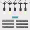 Solar Colorful LED String Lights for Garden & Christmas Decoration