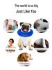 Inflatable Pet Anti-Scratch Collar for Dogs and Cats
