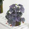 Artificial Amphibian Plants Terrarium Leaves Habitat Decor for Iguana for Turtle