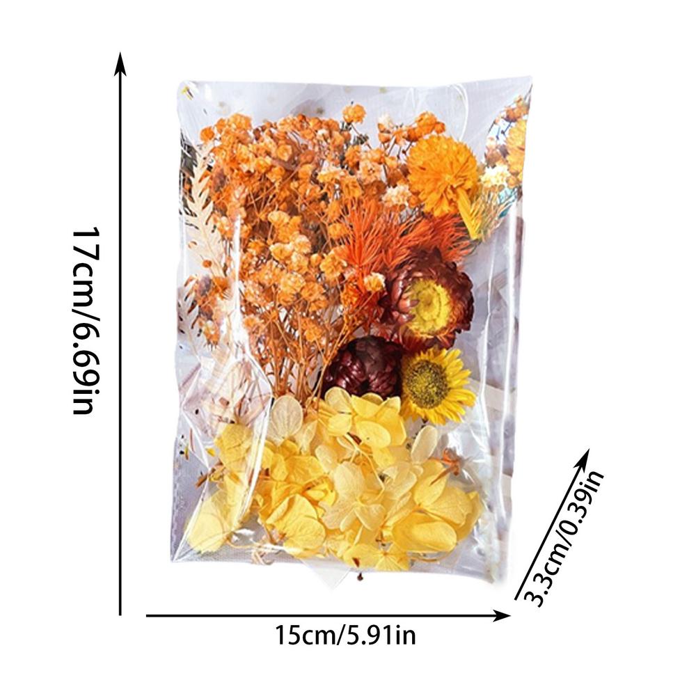 

Сушеные цветы для поделок Аксессуары для поделок Сушеные цветы для декора открыток Журналинг Цветочная декорация Красочные Универсальные Сушеные цветы оранжевый