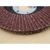 Faithfull Aluminum Oxide Flap Discs