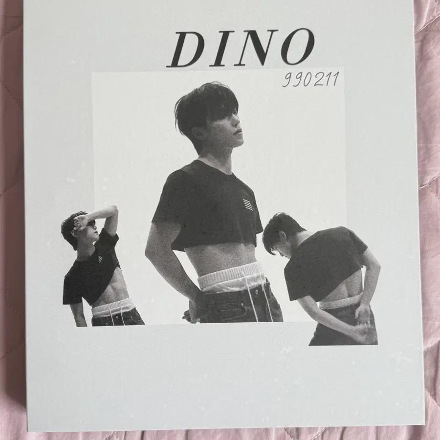 Seventeen Dino Binder