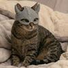 3D-gedruckte Katzenmaske Lustige Wikinger-Katzen-Gesichtsmaske für Maskerade Cosplay Kostüm Halloween Party Zubehör