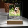 Custom Night Light Pet Memorial Plaque For Dog Cat Personalized Pet Growth Ornament Engrave Pet Info Record Lovely Daily Moment