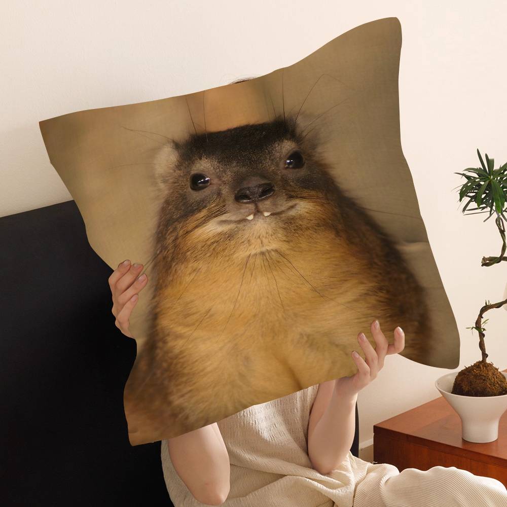 Rock Hyrax Animal Cushion Cover Pillow Cover Decor Pillowcase Printed Cushion Case for Couch
