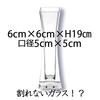 FOYER Unbreakable Vase, Stylish Polycarbonate, 19 Cm Tall, 6 Cm Wide, Small, Product Number 2300121