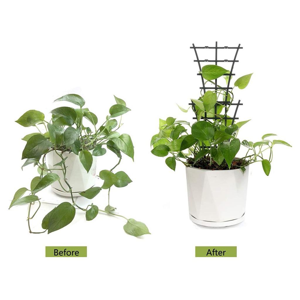2pcs Garden Plant Support Trellis Frame For Climbing Vegetables And Flowers Pots Garden Plants Care Accessories