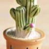 Moss Micro-landscape Ecological Bottle Simulation Small Potted PlantCactus Decorative ItemDesktop Resin Small Item