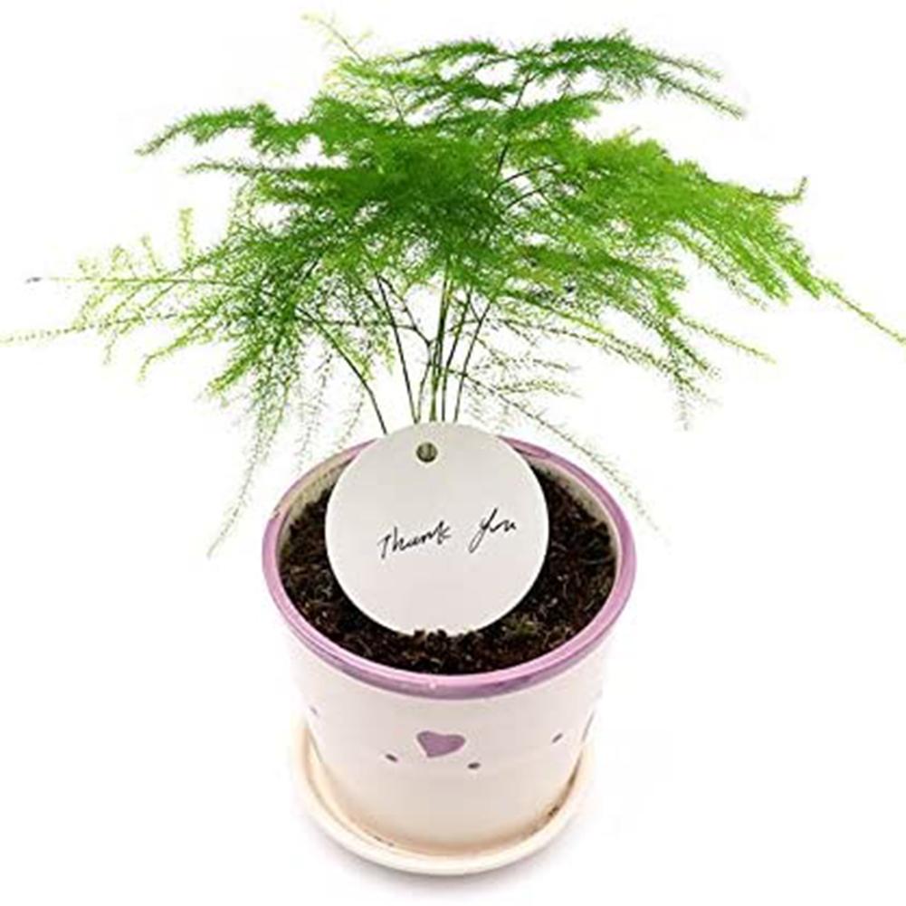 100pcs 5.5cm Round Kraft Tags Universal DIY Blank Tags With 20m Jute Twine For Wedding Birthday Christmas