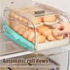 Egg Tray 2-Tier Sliding Lid Automatic Rolling Egg Holder Countertop Refrigerator Organizer for Freezer Pantry Cabinet Home