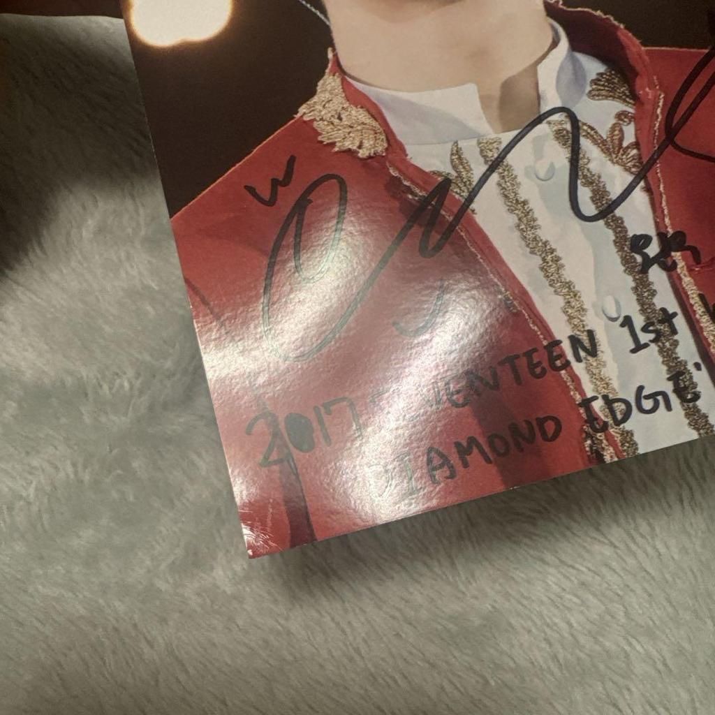 [USED] SEVENTEEN Wonwoo Net Print L Size