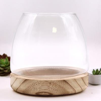 Terrarium On Natural Tung Wood, Medium