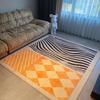 Modern Light Luxury Orange Carpet Home Soft Lounge Rugs Dirty Living Room Large Area Rug Bedroom Decor Carpets Entrance Door Mat