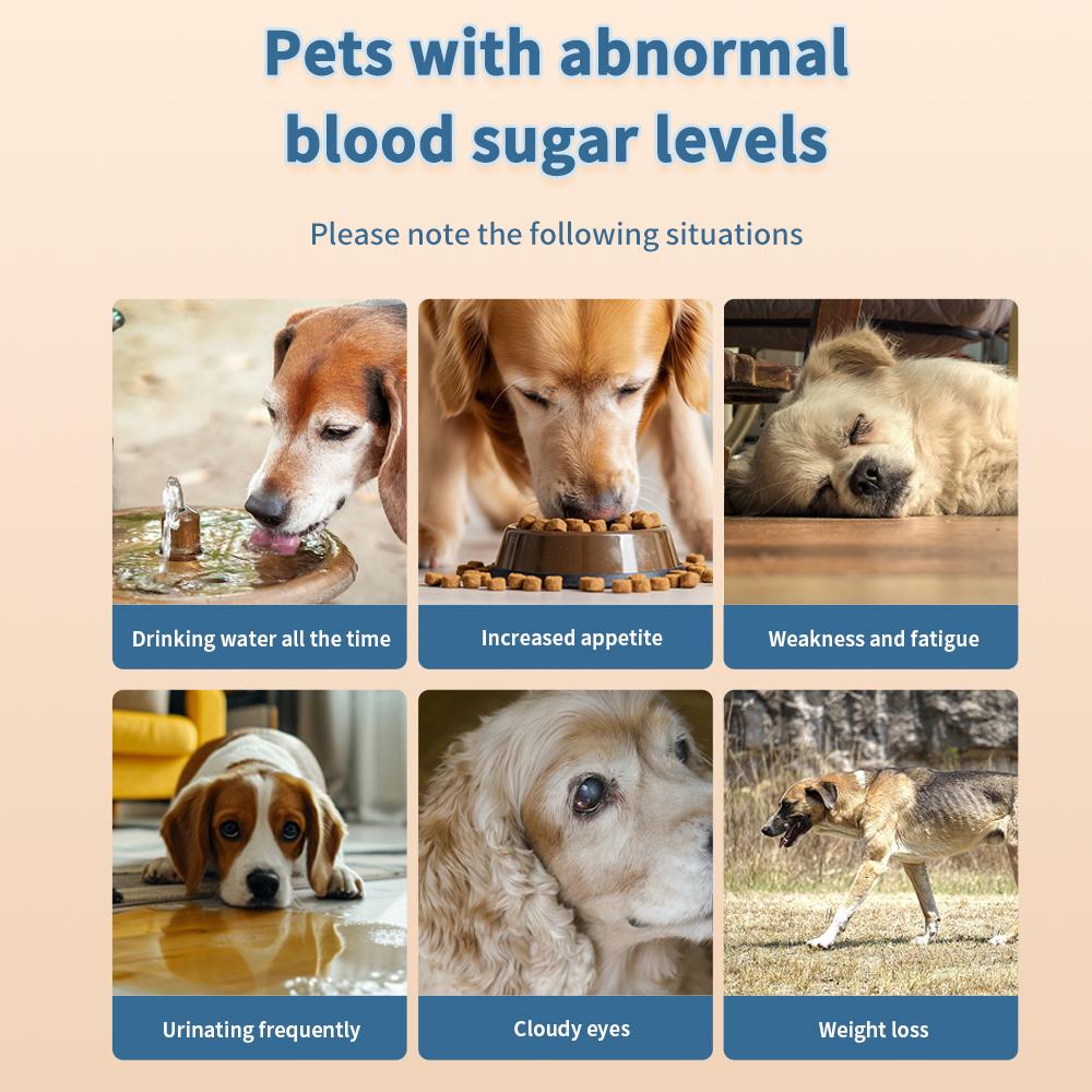 Precise Care, One Drop In Place - Animal Blood Glucose Meter with 50 Test Strips