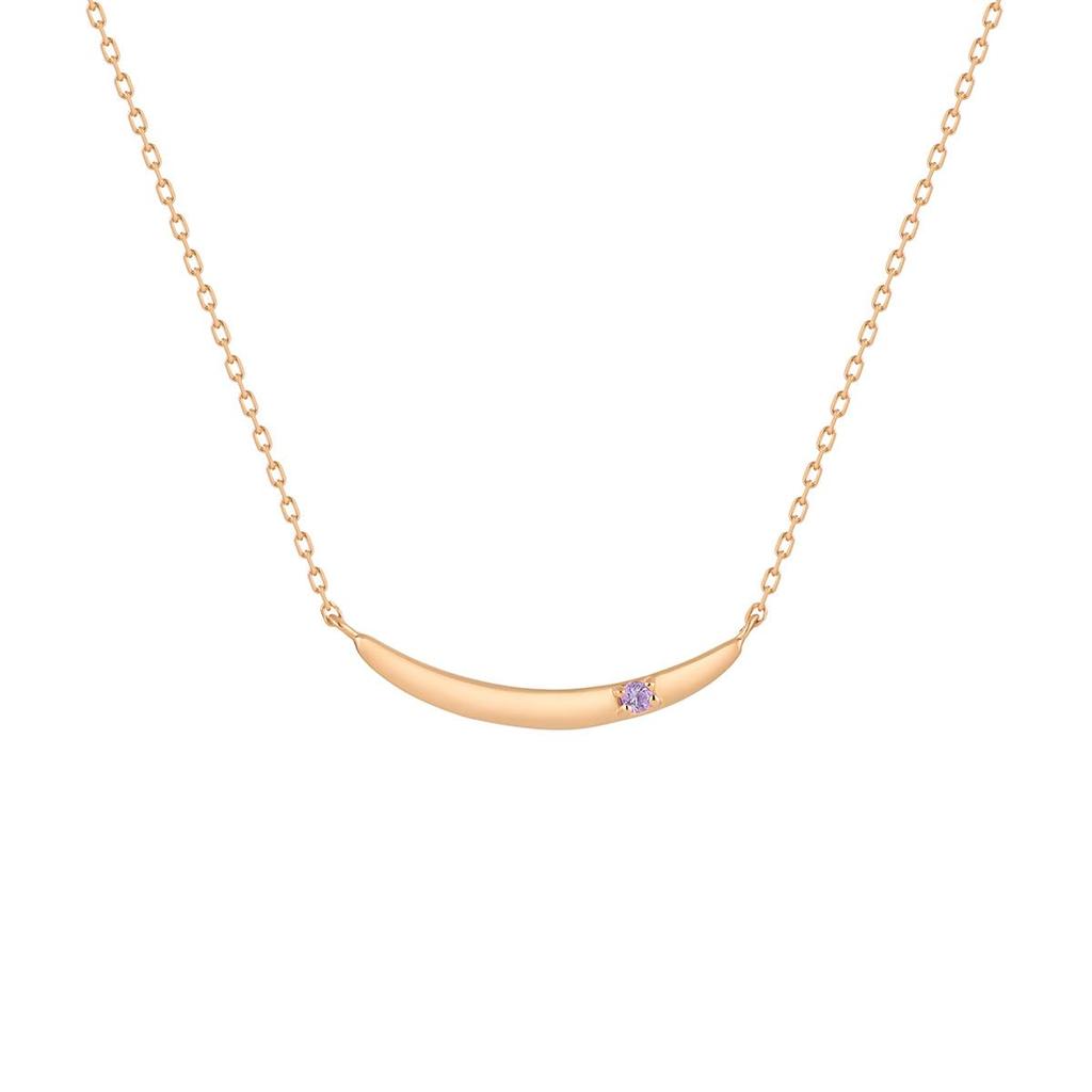 February Birthstone Silver Necklace 112434121912 4℃