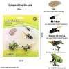 Children's Cognitive Toys: Frog Tadpole Growth Cycle Models