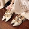 Fashion Retro Elegant Casual Mary Jane Women's Shoes 2025 Spring New Point Head Coarse Heel Shallow Mouth Pumps Comfortable Single Shoes