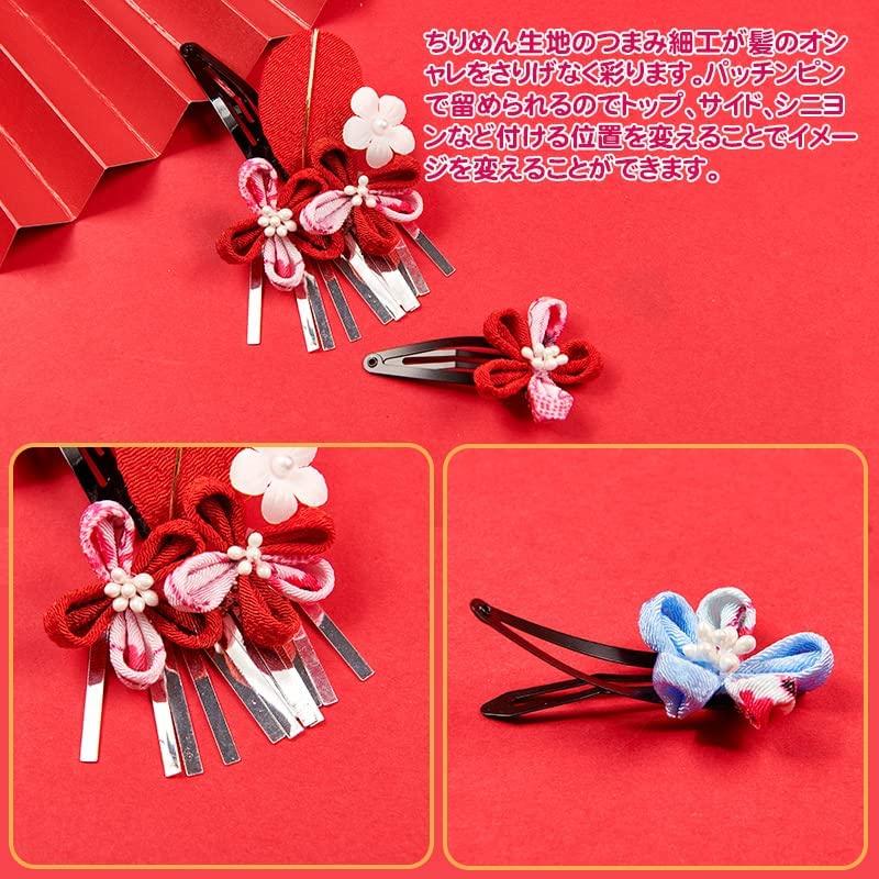 OTAKUMARKET Hair Ornament Set for Set with Design for and Perfect for girls aged 3 to this set includes 4 colors and is perfect for graduations and