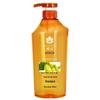 Feng Hua Ginger Hair Strengthening Shampoo Twin Pack